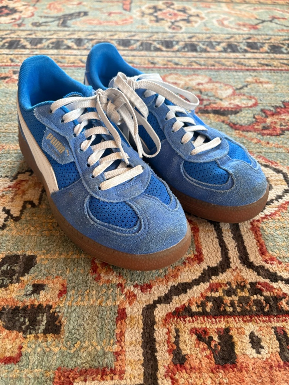 Puma  Blue Suede Sneakers